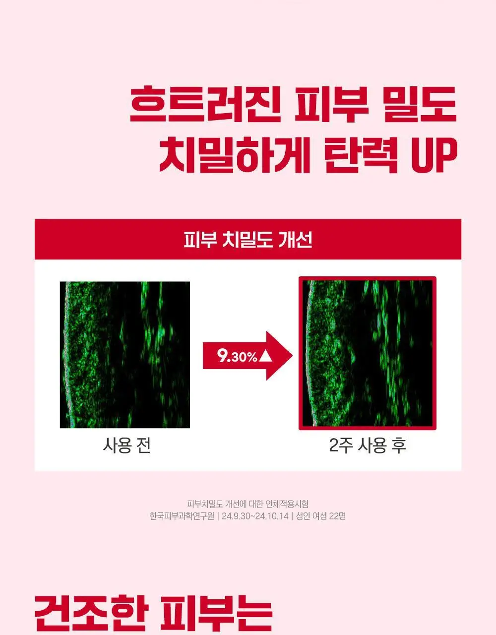 [10층탄력] 라운드랩 동백 딥 콜라겐 탄력 크림 50ml 기획 (+10ml) 상세페이지 23